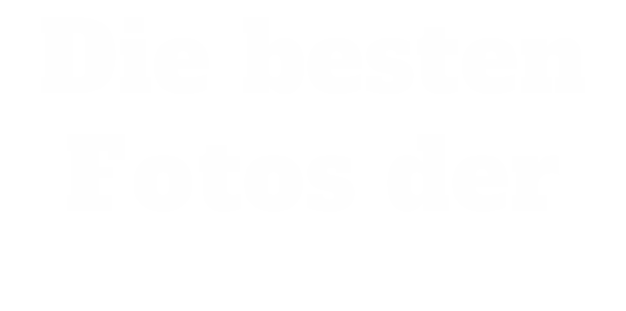 Die besten Fotos der